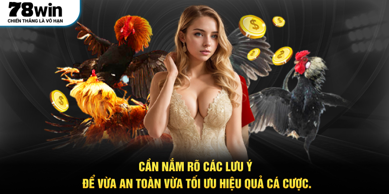 Cần nắm rõ các lưu ý để vừa an toàn vừa tối ưu hiệu quả cá cược.